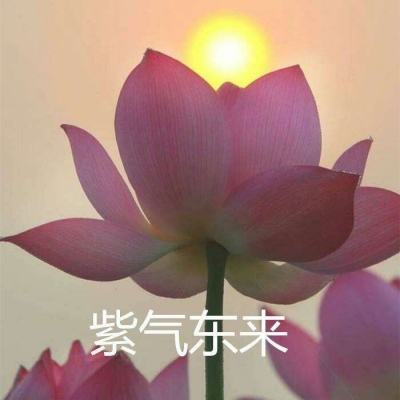 梦灵手游百度版下载
